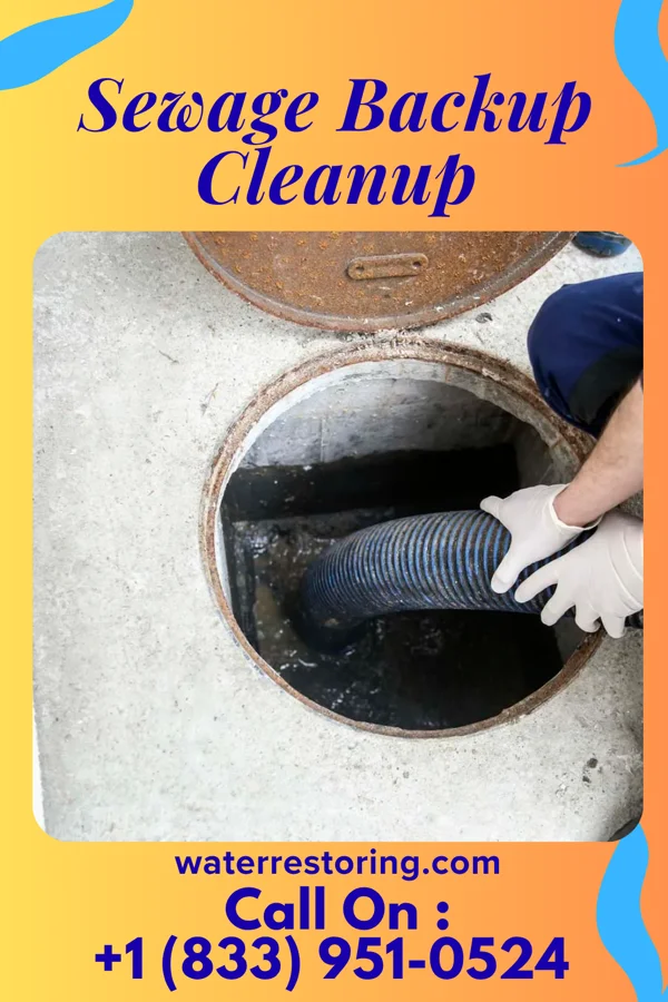 Sewage Backup Cleanup in Lake Murray of Richland, SC