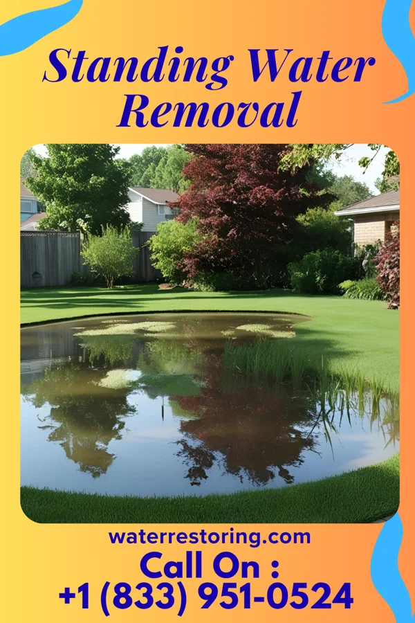 Standing Water Removal in Lake Murray of Richland, SC
